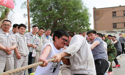 2019�깫˾��17��ְ���˶���